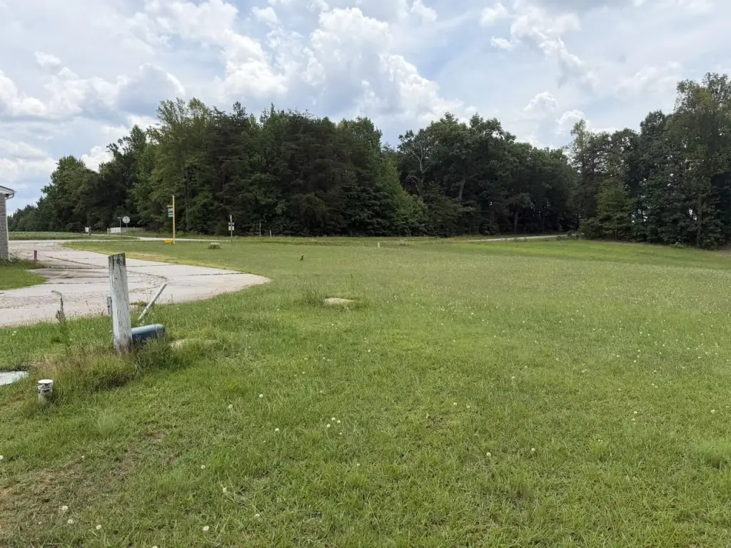 Picture 42