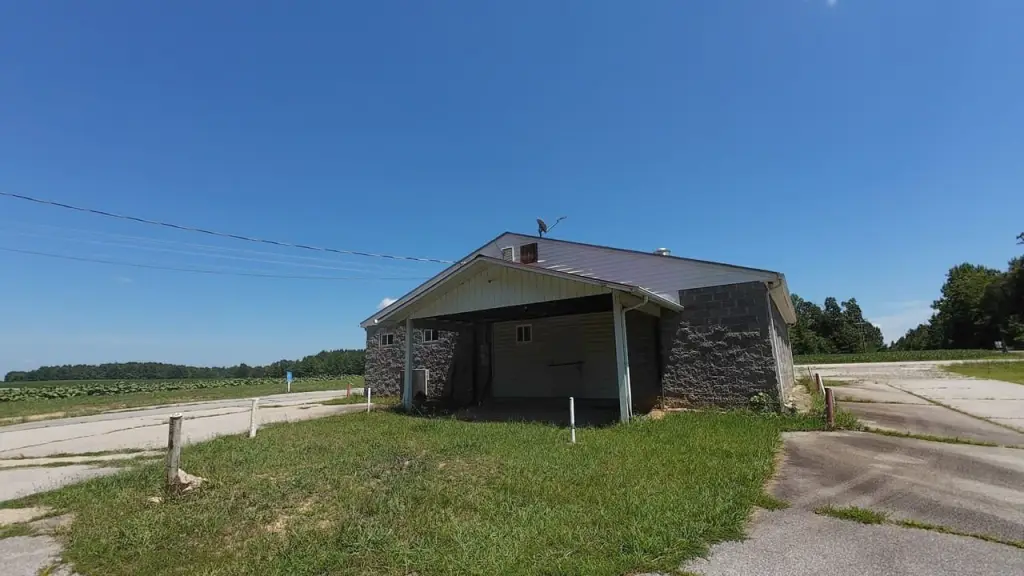 Picture 23