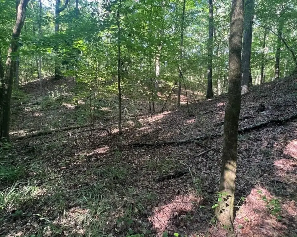 Picture 25