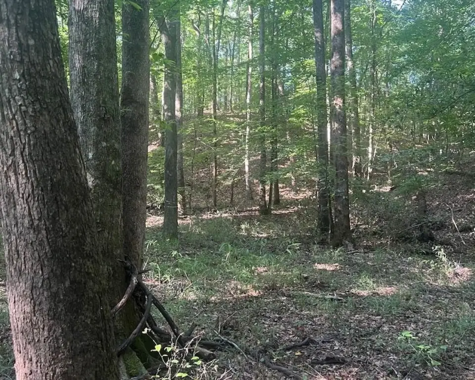 Picture 29
