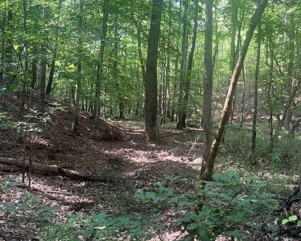 Picture 28