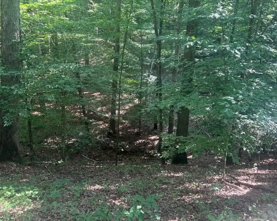 Picture 13