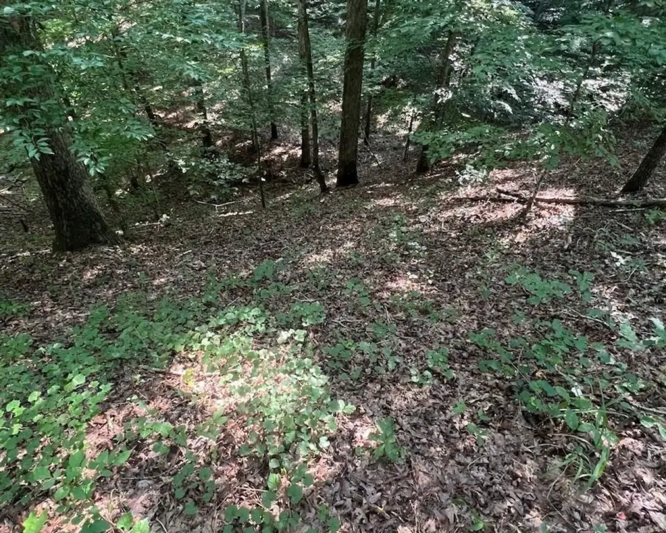 Picture 16
