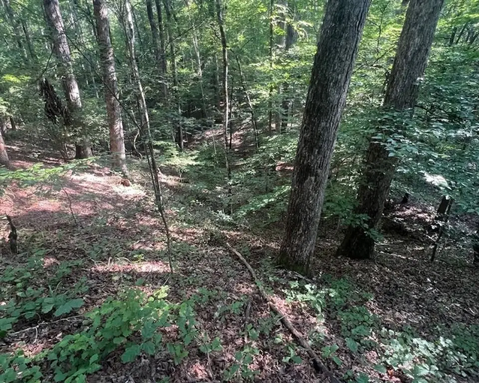 Picture 18