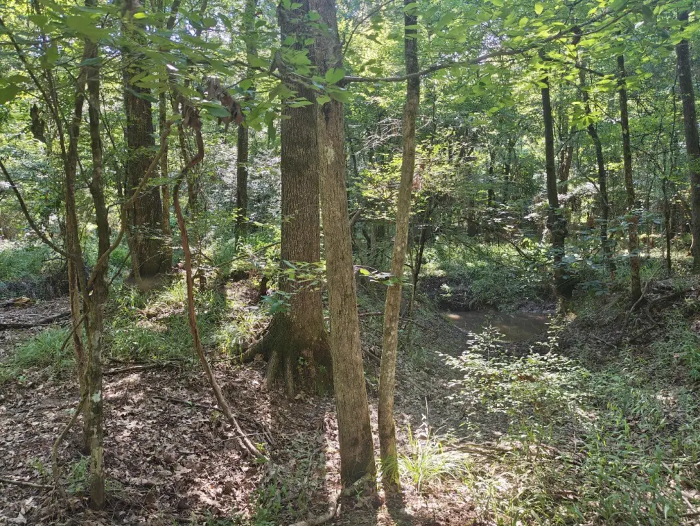 Picture 4