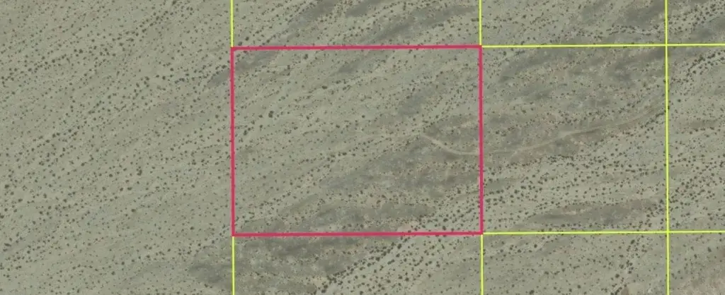 Picture 3