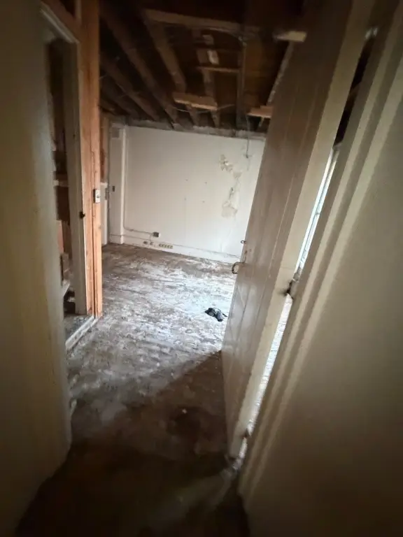 Picture 38
