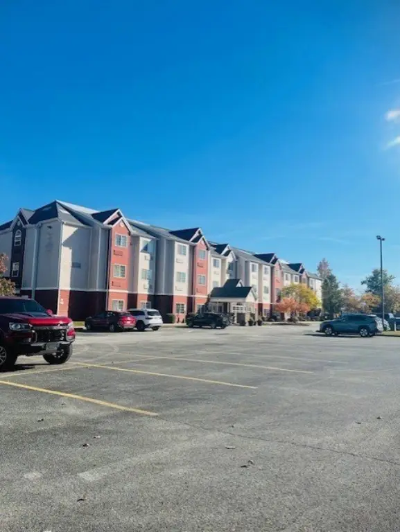 Picture 8