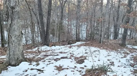 Bella Vista Buildable Sewer Lot