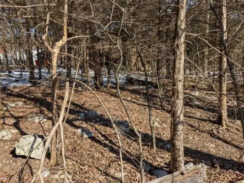 Holiday Island Lot Near Golf