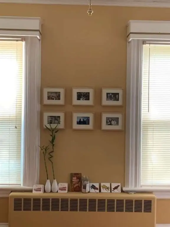 Picture 11