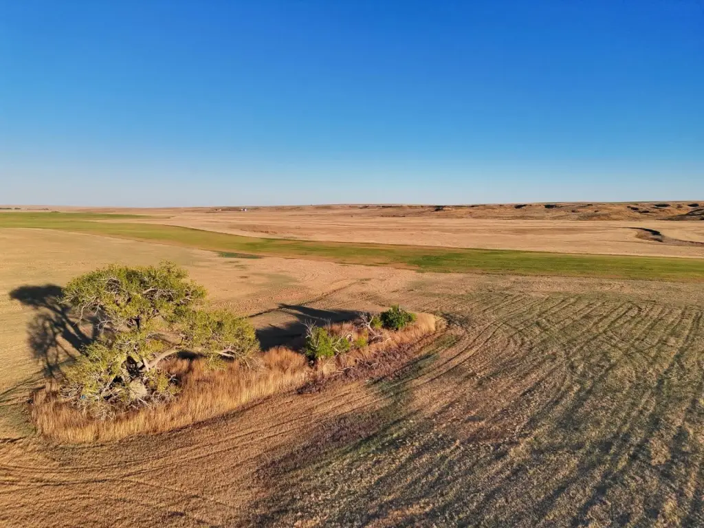 Picture 14