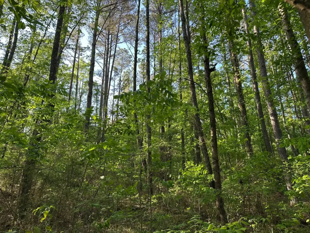 Picture 17