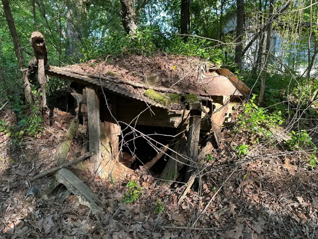 Picture 6