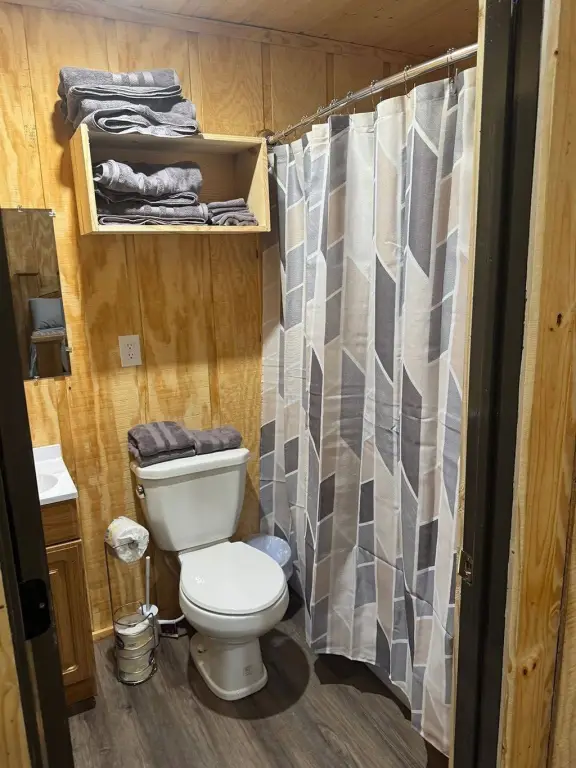Picture 31