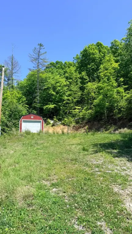 Picture 4