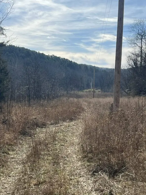 Picture 5