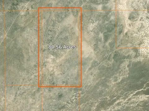 80 Acres of Nevada Land