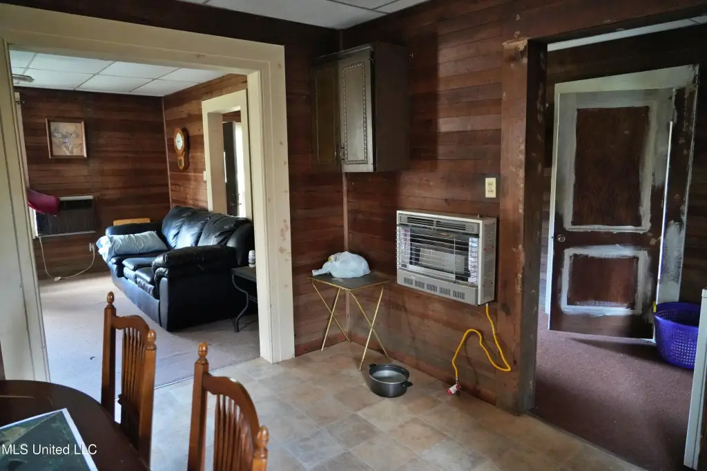 Picture 8