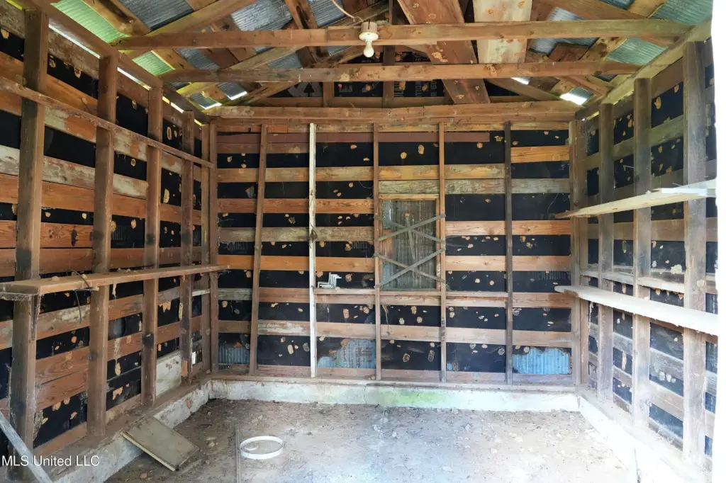 Picture 11