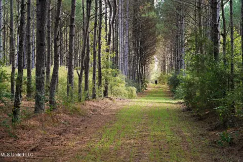 Improved Hunting Land