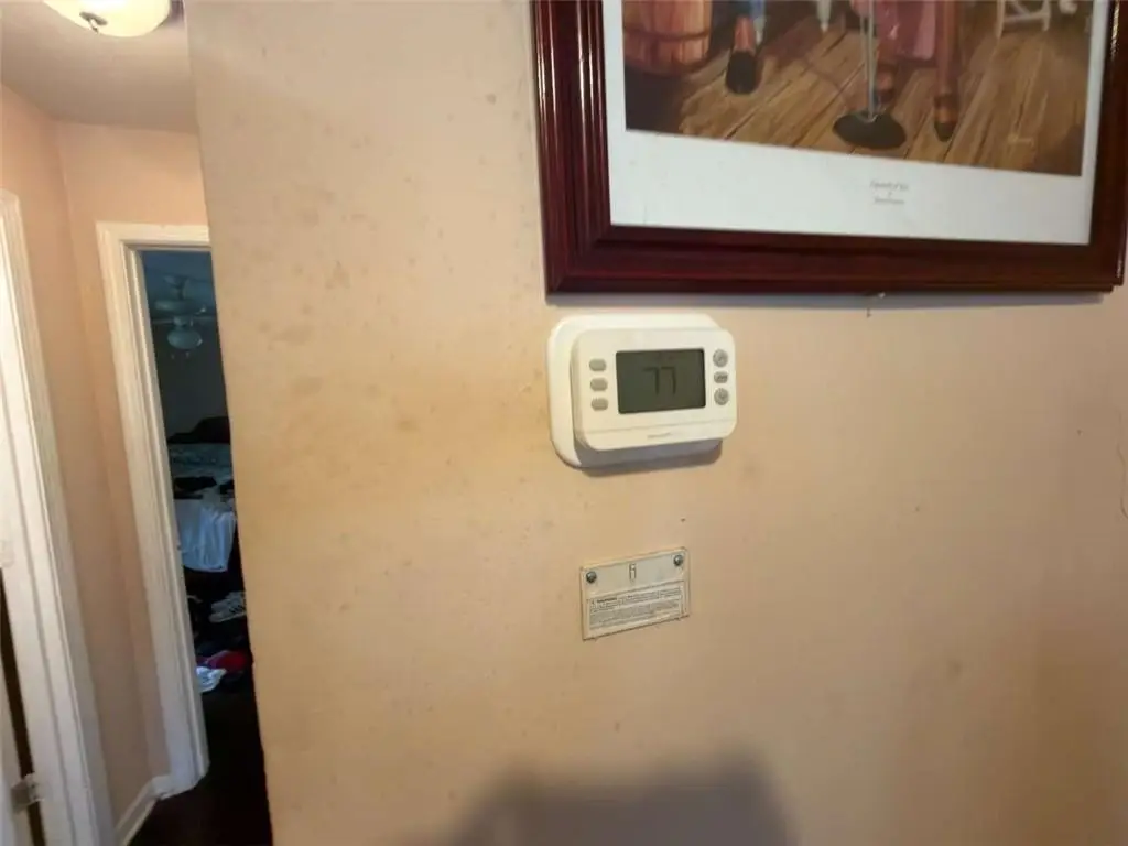 Picture 37