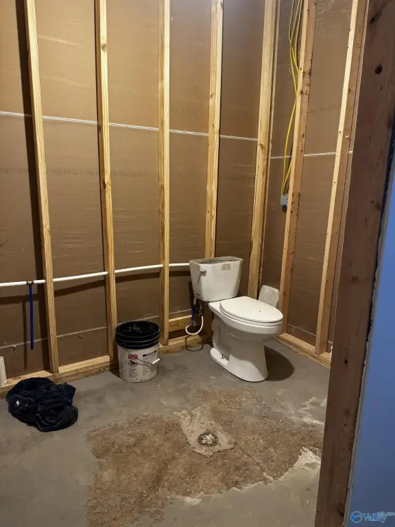 Picture 13