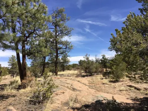 Ramah, NM Land Opportunity