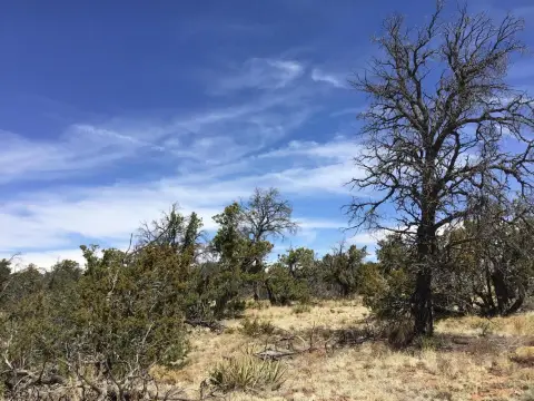 Land in Pine Meadows Subdivision