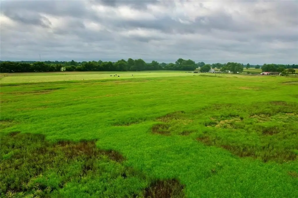 Picture 20