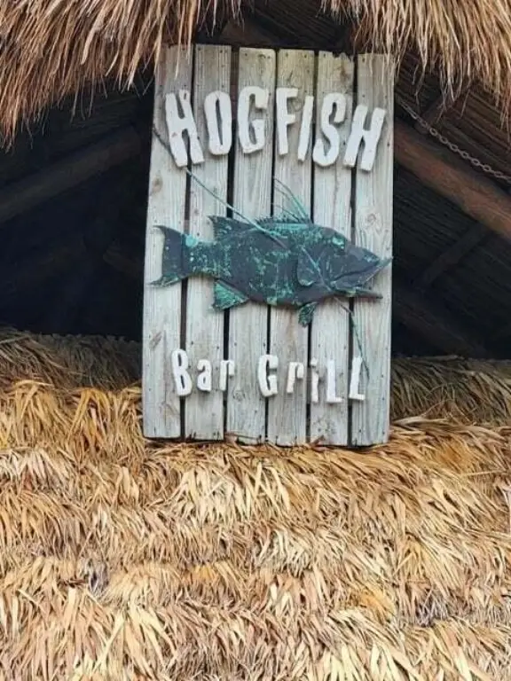 Picture 17