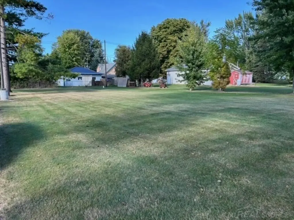 Picture 6
