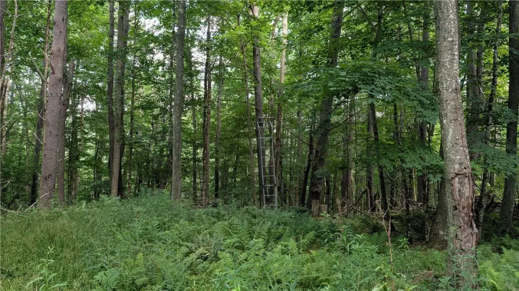 Picture 21