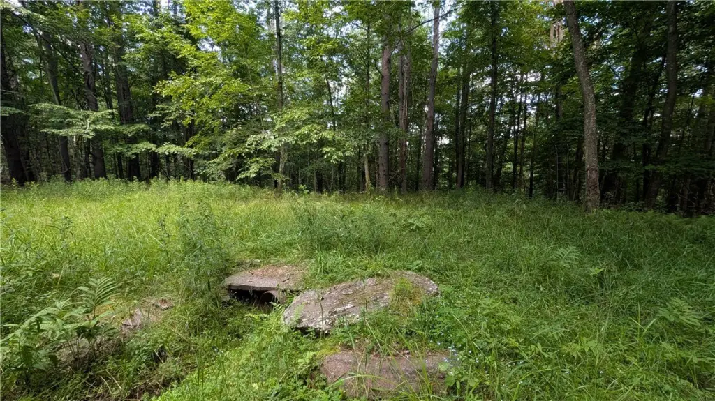 Picture 19