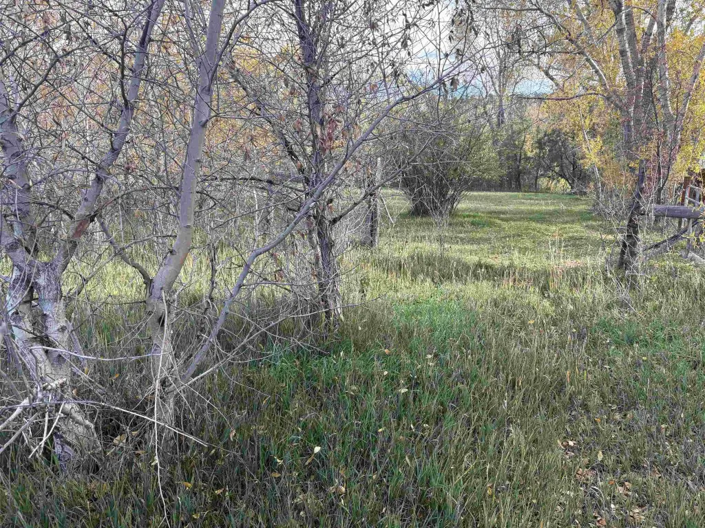Picture 4