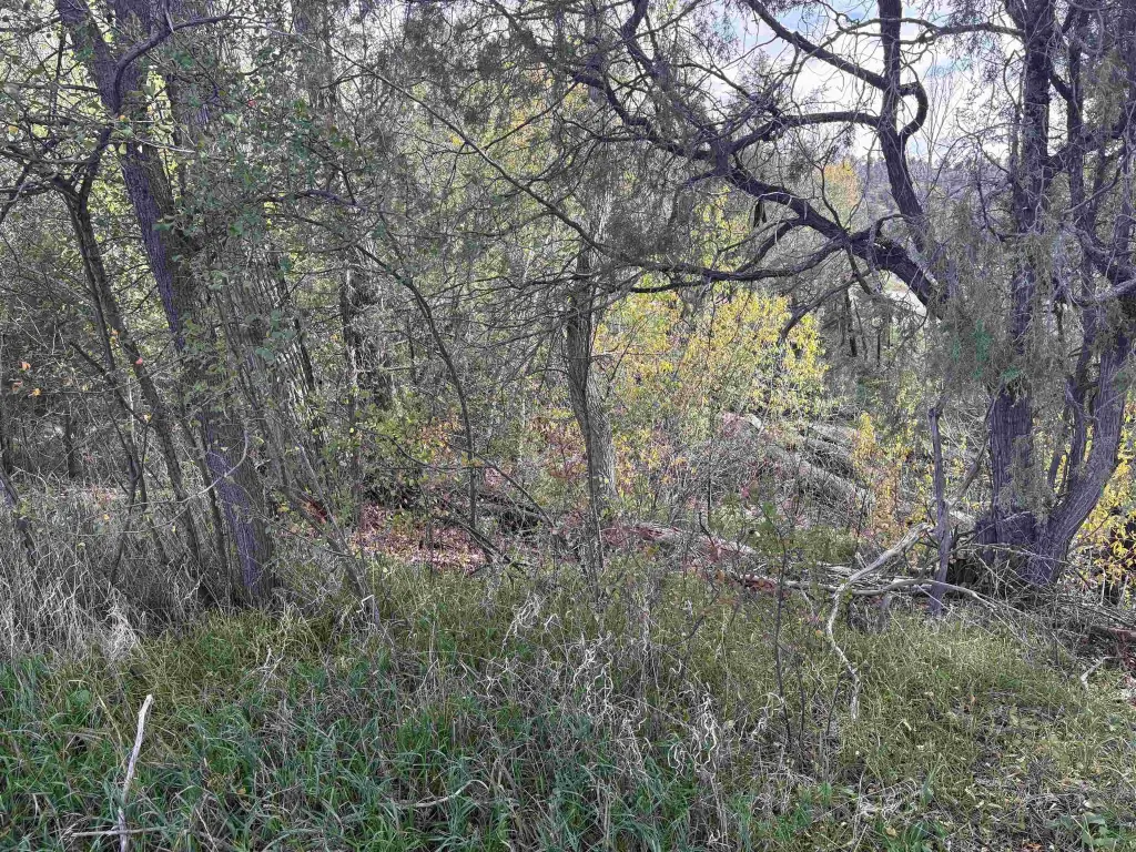 Picture 3