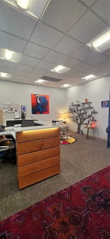 Picture 5
