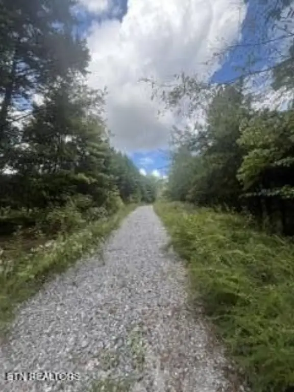 Picture 5