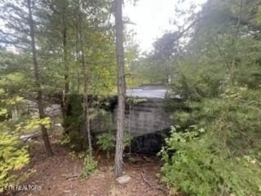 Picture 10
