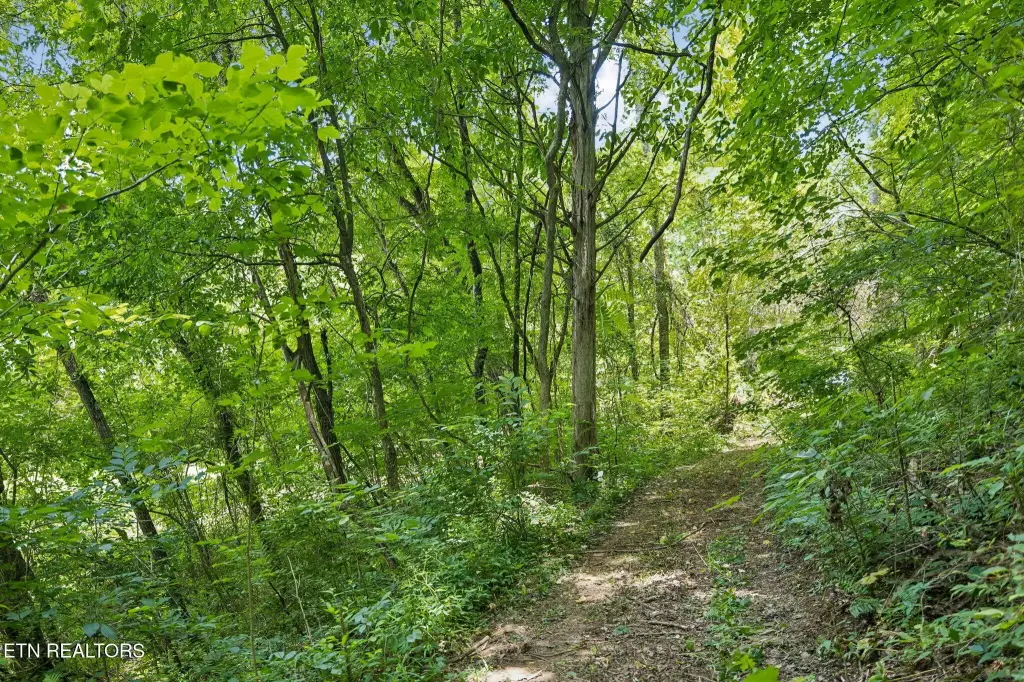 Picture 25