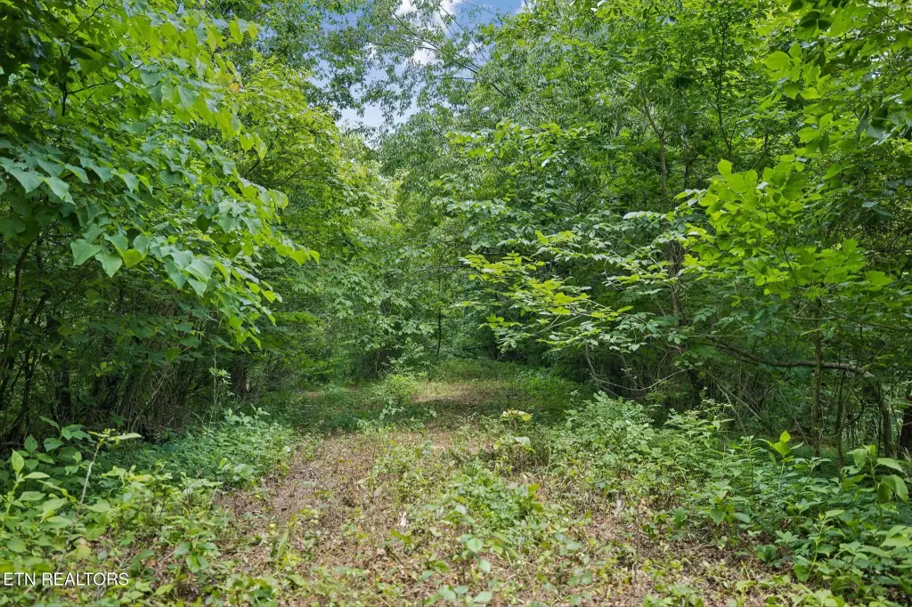 Picture 20