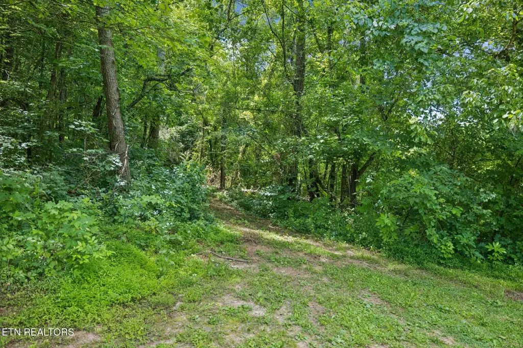 Picture 27