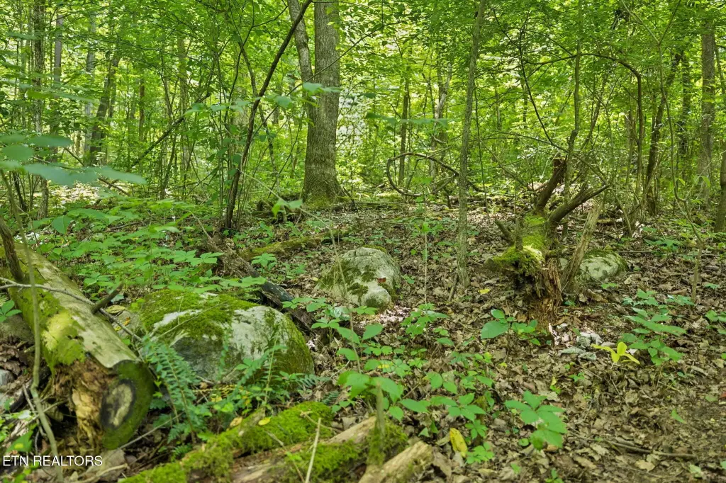 Picture 23
