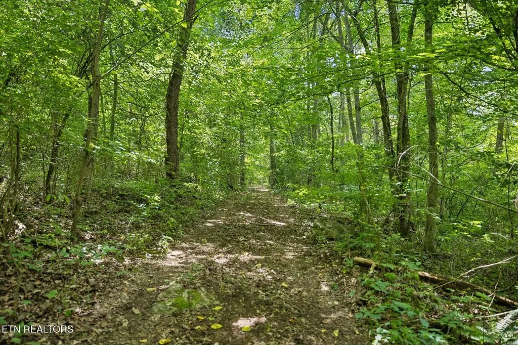 Picture 24