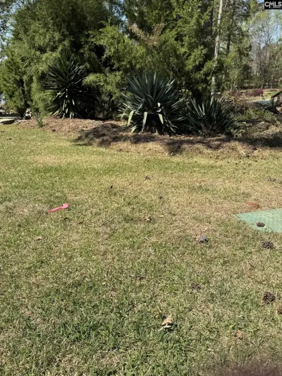 Picture 22