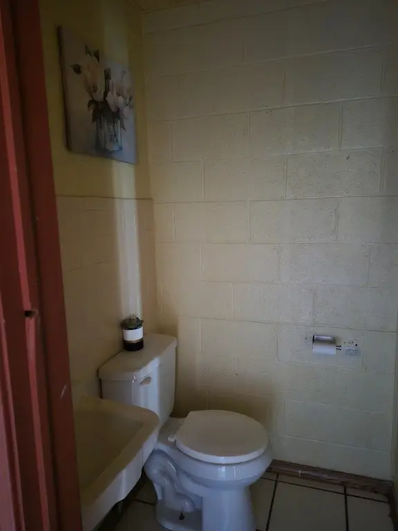 Picture 7