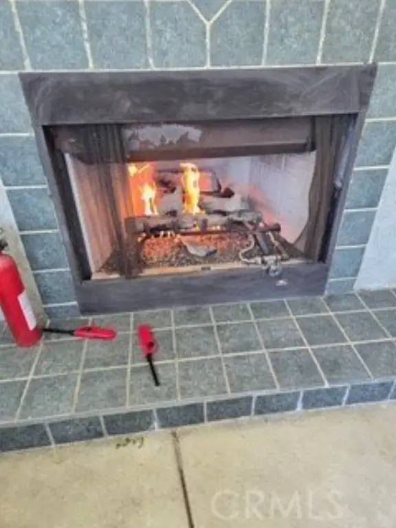 Picture 14