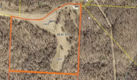 Secluded Land with Hunting Potential