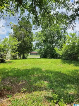 Commercial Land in Bessemer, AL