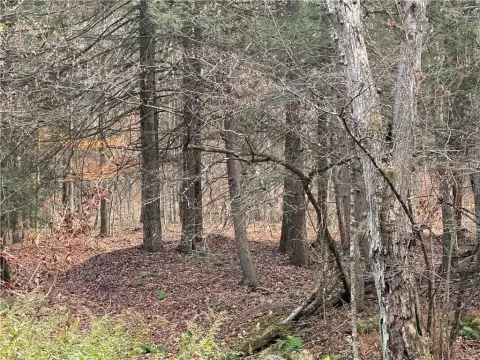 25 Acres Wooded Land, Lockwood